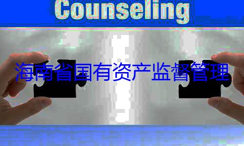 委副书记王资产监督管有福接受审理委员会党查调查海南省国有